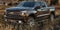 2020 Chevrolet Silverado 1500 Crew Cab Short Box 4-Wheel Drive Custom Trail Boss